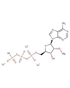 Astatech 2-O-METHYL-ADENOSINE-5-TRIPHOSPHATE, LITHIUM SALT, 100MM SOLUTION; 0.25G; Purity 98%; MDL-MFCD23703509
